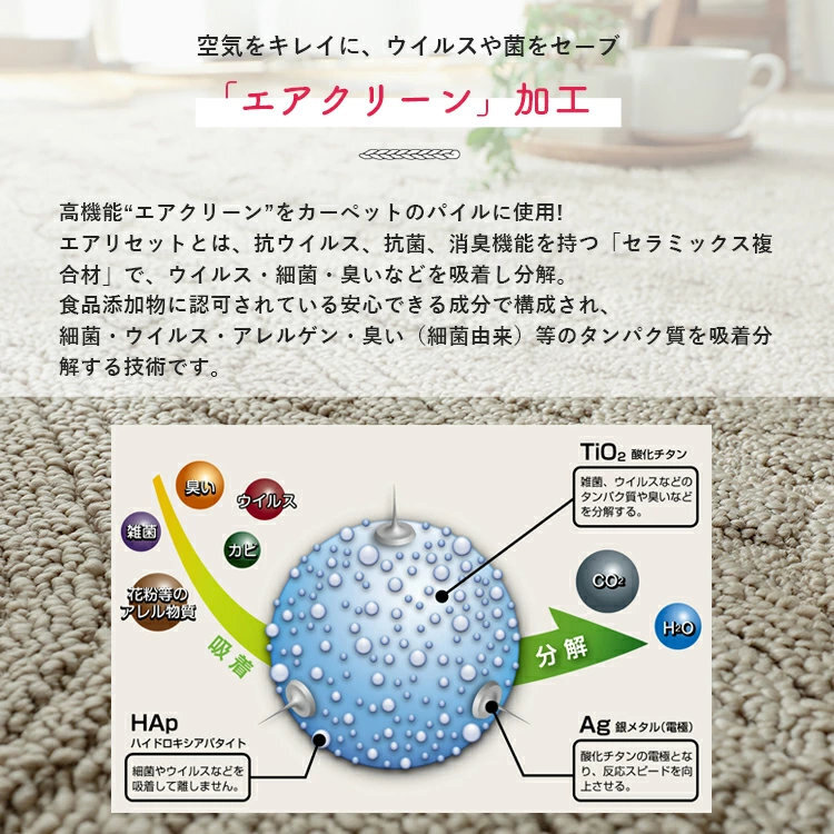 ラグ カーペット マット 洗える 日本製 防ダニ 抗菌 抗ウイルス 消臭 花粉対策 絨毯 北欧 おしゃれ オールシーズン 軽量 コンパクト収納 遊び毛が出にくい ナチュラル アイボリー リビング ダイニング 床暖房 ホット 対応