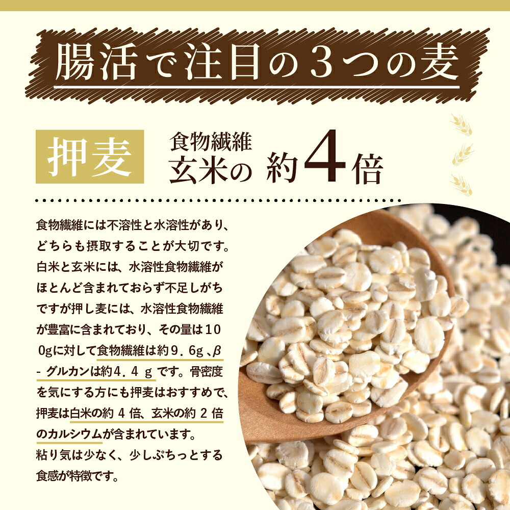 雑穀 雑穀米 国産 麦の恵み24穀米ブレンド【選べる800g~4kg】雑穀米本舗 [丸麦/押麦/はだか麦/もち麦/はとむぎ] 無添加 無着色 徳用サイズ 送料無料