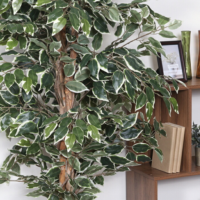 ガーデン エクステリア 観葉植物 フィカス １１２４ Ｂ フェイクグリーン 植物 緑 グリーン 癒し 植木 インテリア ガーデニング おしゃれ カフェ リビング プランター ギフト プレゼント 贈り物 オフィス 会社 枯れない 簡単 手入れ 人気 樹木