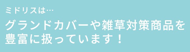 クラピアK7（白） ポット苗10株 すくすくシート14平米+J字型ピン100本　肥料 活力剤2種、完全植栽マニュアル2種付き クラピア 芝桜 雑草対策 グランドカバー マルチング イワダレソウ（改良種）