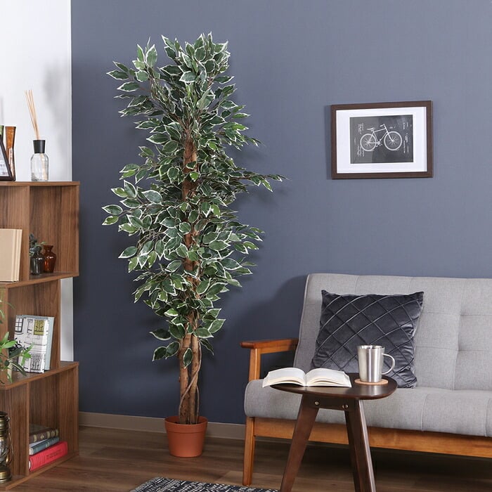 ガーデン エクステリア 観葉植物 フィカス ６９０ Ａ フェイクグリーン 植物 緑 グリーン 癒し 植木 インテリア ガーデニング おしゃれ カフェ リビング プランター ギフト プレゼント 贈り物 オフィス 会社 枯れない 簡単 手入れ 人気 樹木