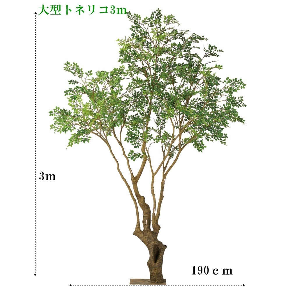 人工観葉植物　大型トネリコ3ｍ　　送料込み　　アスカ商会アイテム