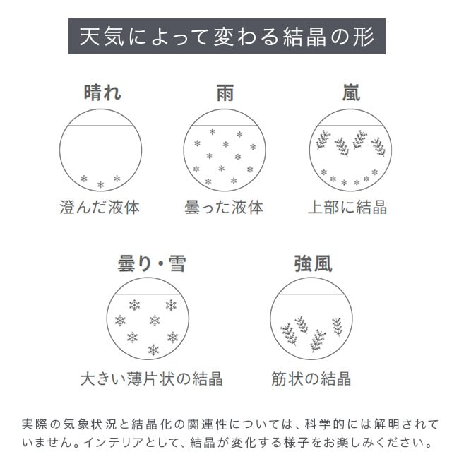 Storm Glass ストームグラス アザラシ[気象計 天気予報 インテリア オブジェ 置物 かわいい おしゃれ インテリア雑貨 ガラス プレゼント ギフト 雑貨 結晶 天気 置き物 贈り物 アニマル 動物 ガラス雑貨 インテリア小物]