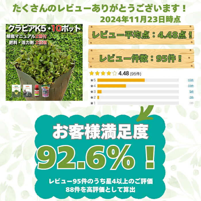 クラピア K5 薄桃品種 10株 すくすくセット 植栽マニュアル付き 苗10ポット 肥料活力剤2種付き イワダレソウ改良種 グランドカバー 植物 プランツ 薄ピンクの花 庭 屋上 緑化 K7と同程度の耐寒性 多年草 地被植物 ほふく性 下草 背が低い 宿根草