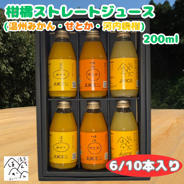 3種類の柑橘ストレートジュース（みかん・せとか・河内晩柑）200ml ギフト箱 愛媛県産【贅沢な果汁100％】送料無料