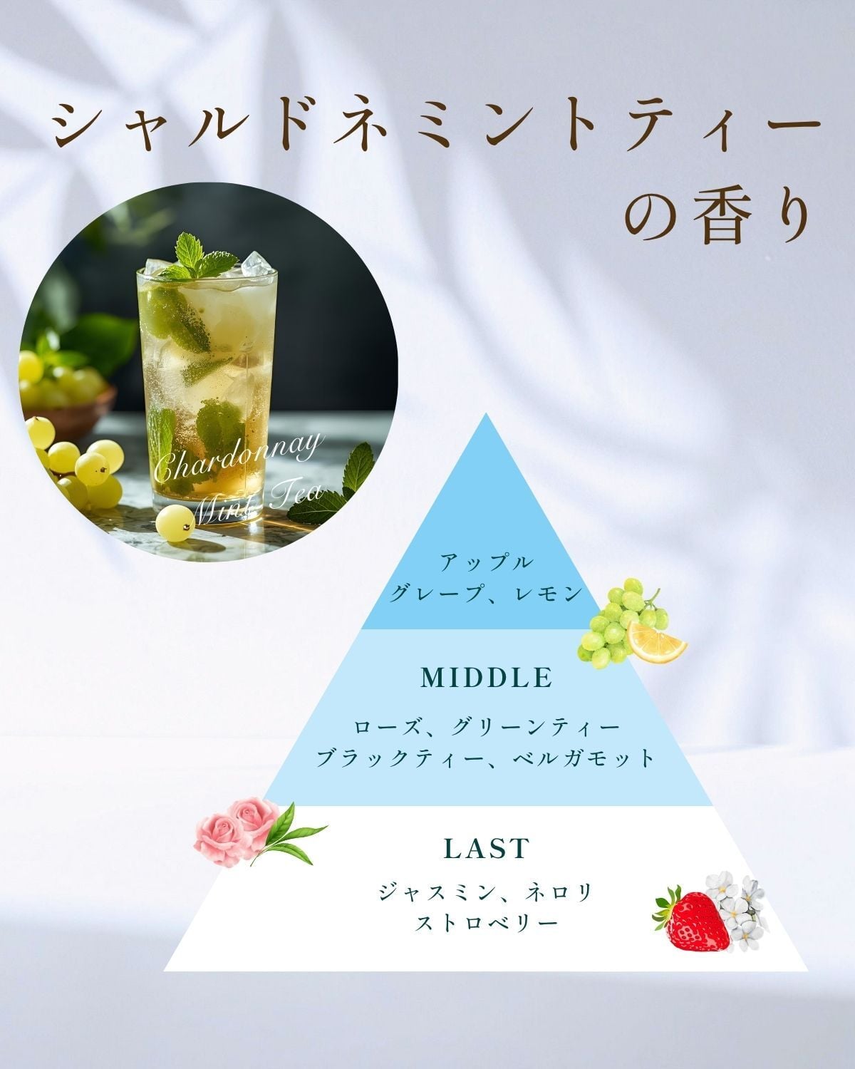 ボタニカルセラムジェルパック/クラフトソープS/フォーミングネット/泡立てネット  フェイスパック 洗顔料 スキンケアセット  フェイスパック 洗顔料 スキンケアセット