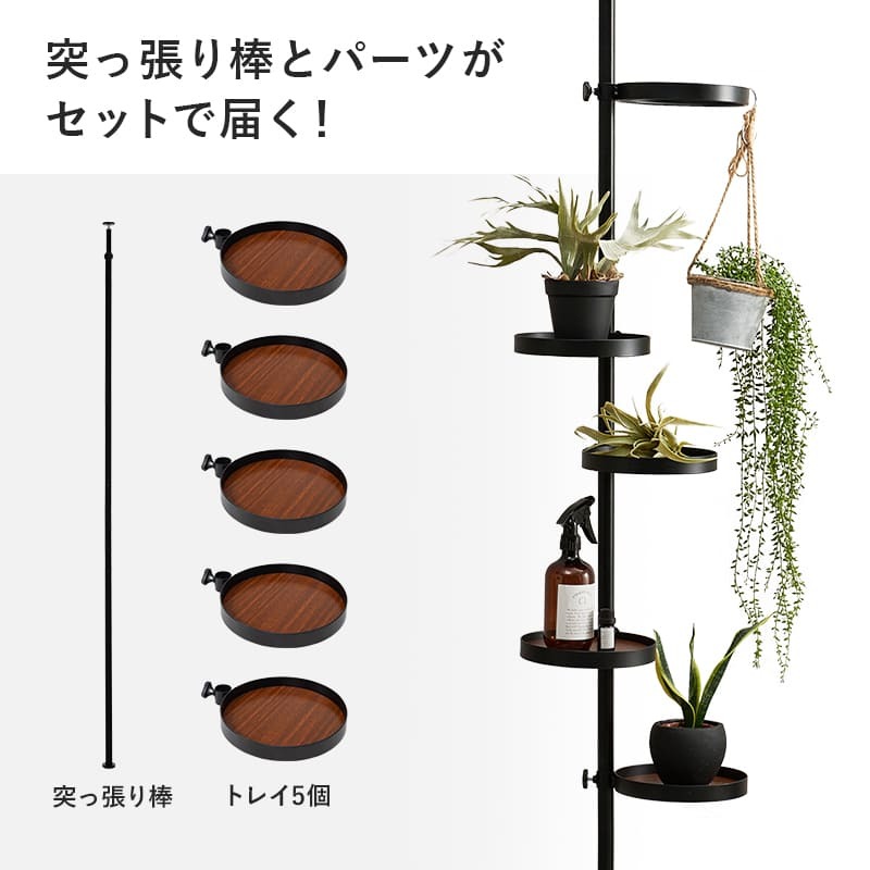 ラック 突っ張り棒&パーツ 6点セット 丸型 ウォール 高さ調節 おしゃれ スリム 壁面収納 オープン ウォールシェルフ 突っ張り 棚 北欧 シンプル モダンディスプレイ 壁面 新生活