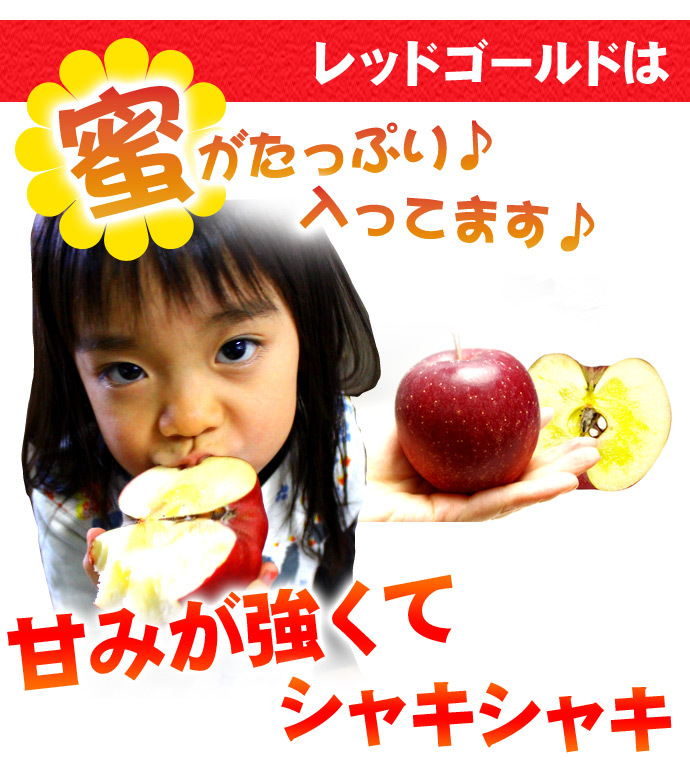 りんご 北海道産 蜜入 レッドゴールド リンゴ 5kg（約20-30個入）