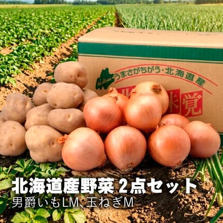 【出荷時期10/1頃～2月末まで(受付2/18終了)】北海道野菜2点セット(5kg,10kg)（送料無料 プレゼント グルメ 贈り物  御祝 内祝い 景品 賞品 ご褒美 誕生日 出産祝い 結婚 上司 男 女 友達 新築 引越 送別会 定年 退職祝い 還暦  産地直送 じゃがいも ジャガイモ 男爵イモ たまねぎ タマネギ ギフト お歳暮 寒中見舞い）