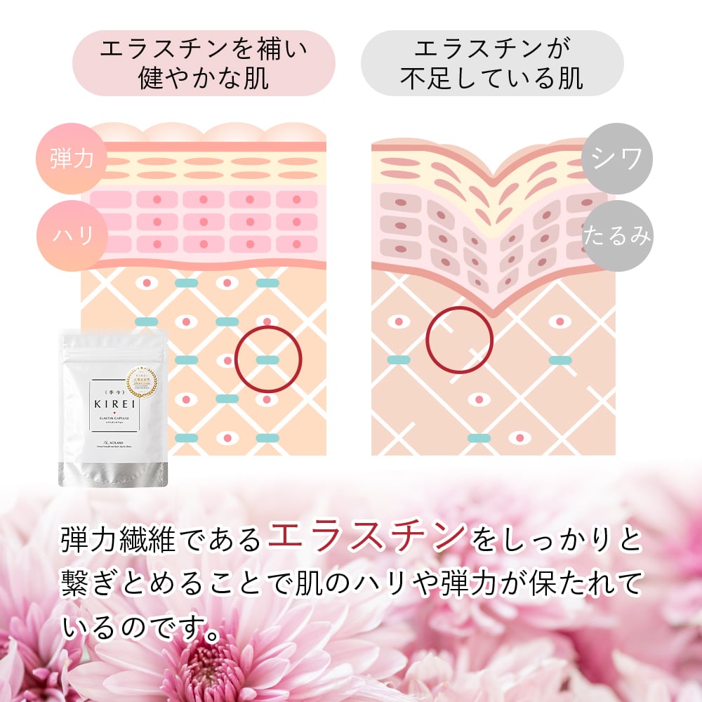 【パッケージ変更】季令（KIREI） エラスチンカプセル 100粒 高純度エラスチン 100％天然由来 コラーゲン エラスチン ヒアルロン酸 エイジングケア スキンケア キレイ 無着色 合成保存料・香料不使用 ACTLAND