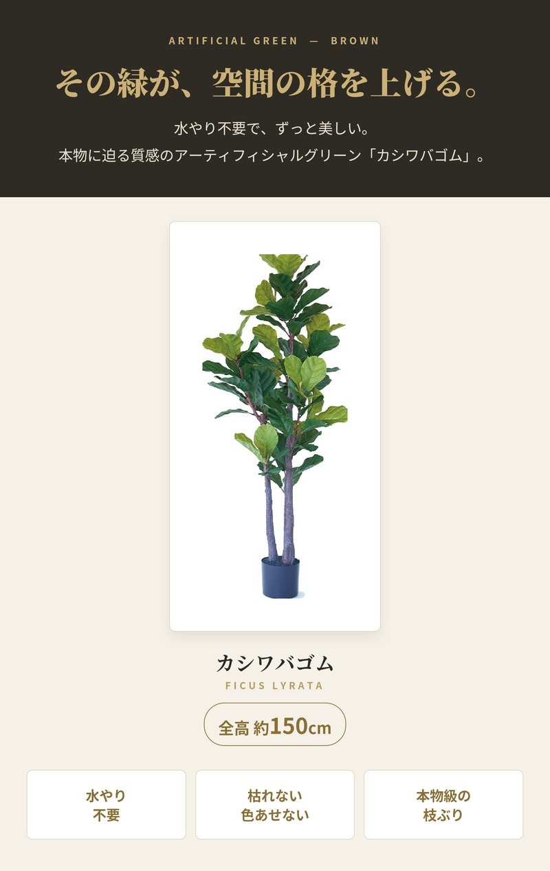 観葉植物 造花 カシワバゴム BROWN 全高約150cm 大型 ゴムの木 フェイクグリーン 本物そっくり おしゃれ インテリア 人工観葉植物 アーティフィシャルグリーン オフィス 店舗 ホテル 開店祝い 室内 フィドルリーフ フェイク