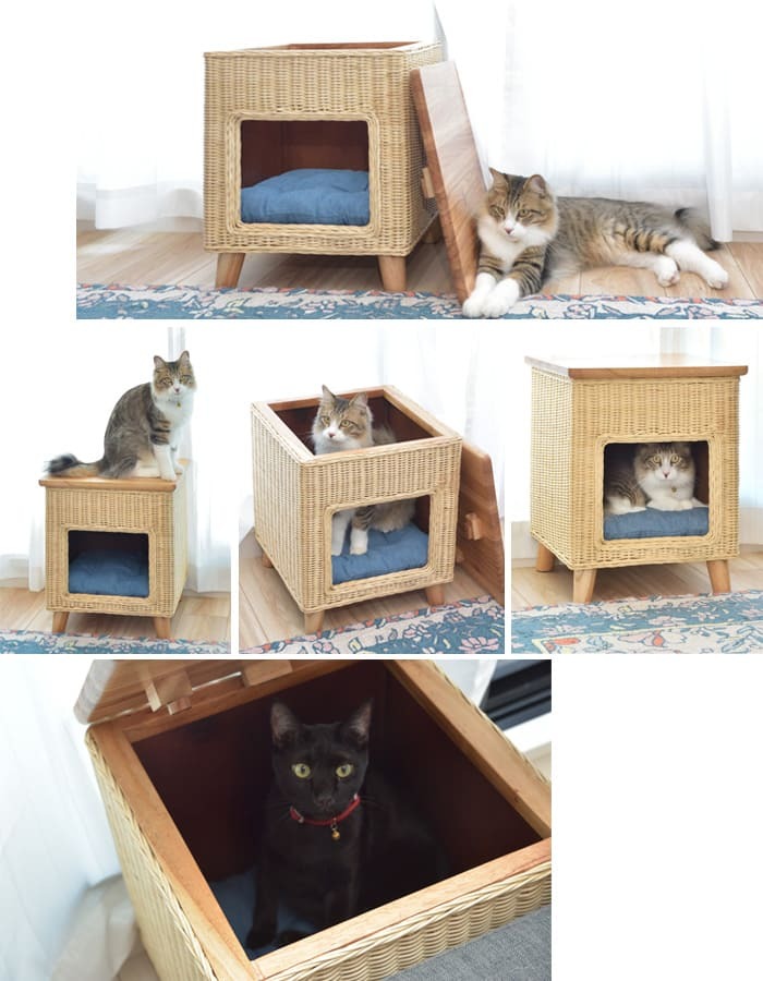 ラタン ペットハウススツール ペットと一緒にくつろぐ クッション付き 椅子 テーブル ネコ イヌ 猫 室内用 屋内用 小型犬 ペット用品 グッズ キャットタワー 省スペース 犬用 猫用 かわいい おしゃれ リゾート ホテル ケージ 最大2 天然木 イス