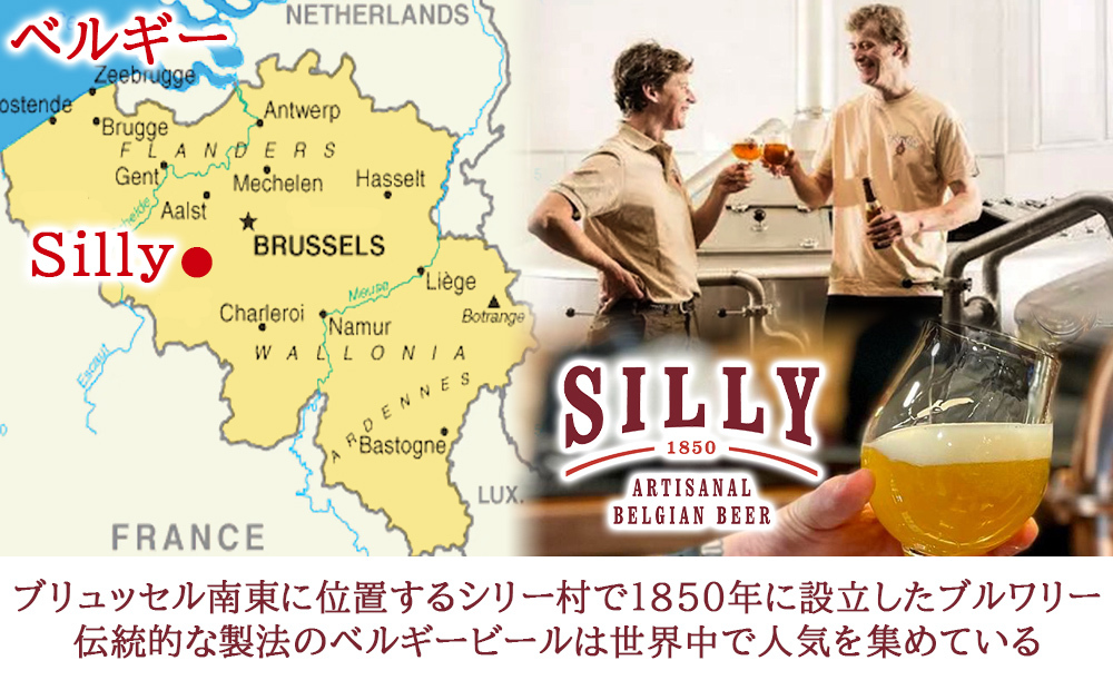 お歳暮 5000円 紅白ラベル ビール 飲み比べ【無料 ラッピング メッセージカード】ベルギービール 330ml 4本 ギフト箱付き 詰め合わせ 海外ビール 輸入ビール ギフト男性 お祝い 誕生日 内祝 友人 夫婦 送料無料