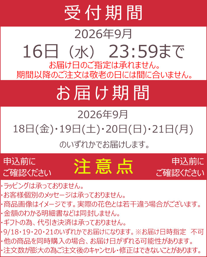 祝 敬老の日 プレゼント ギフト 秋明菊 ももいろブーケ5号 バスケット 9月21日 鉢花 ニオイザクラ 送料無料 沖縄・離島を除く