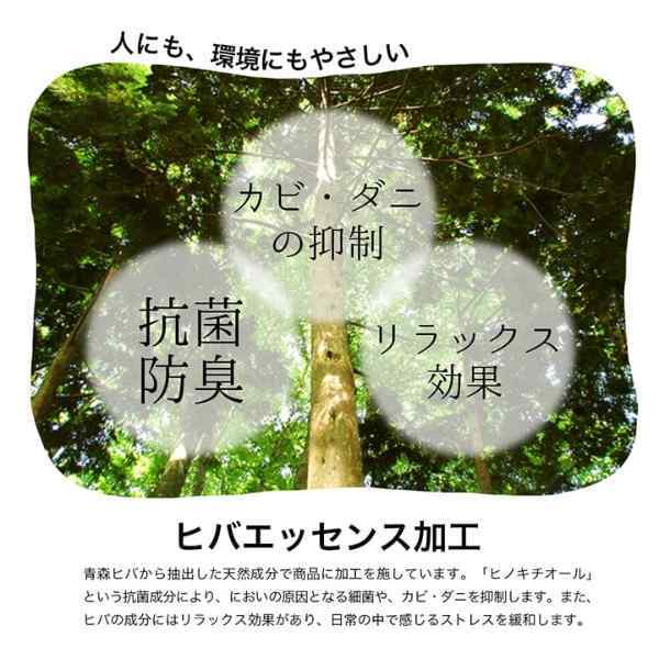 ラグ 長方形 い草 自然素材 シンプル ボーダー 裏面すべり止め付き 滑りにくい 抗菌防臭 約6畳 約240×320cm