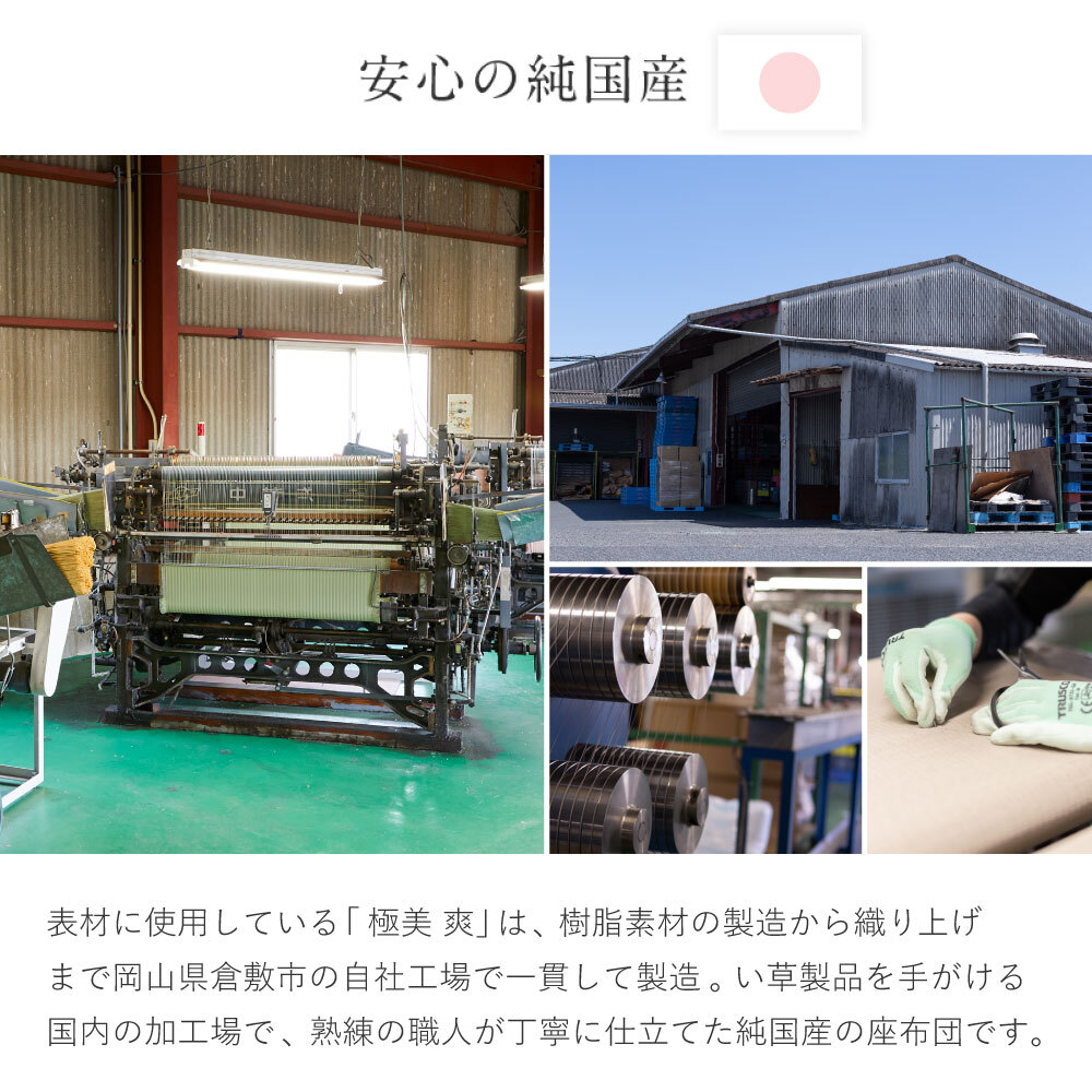 畳クッション 楽座 らくざ 日本製 約39×39×5cm 水拭きできる い草風 座布団 樹脂畳 極美爽 アンモニア消臭 耐久性 毛羽立ちにくい 高反発ウレタン 滑りにくい ダニ カビ対策 和室 洋室 リビング 飲食店 旅館 業務用 全4色 来客向け