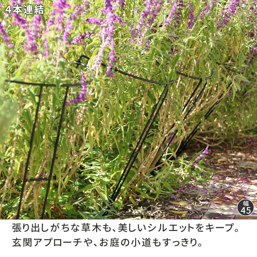 アイアン製植物サポーター 幅18 8本セット IF-N0050-8P奥行10 高さ50 ハーフリング 倒れ防止 広がり抑制 スチール 鉄製 支柱 園芸 植物サポート フラワーサポート 菜園 花壇