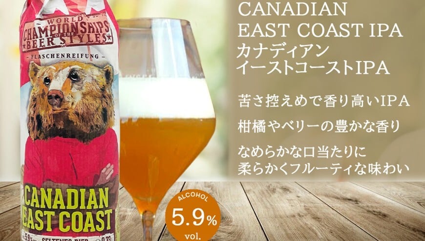 クラフトビール 10本 飲み比べセット ドイツ クラフトビール 330ml 10種 海外ビール 輸入ビール 簡易包装 段ボール 家飲み パーティー 誕生日 家族 友人 送料無料