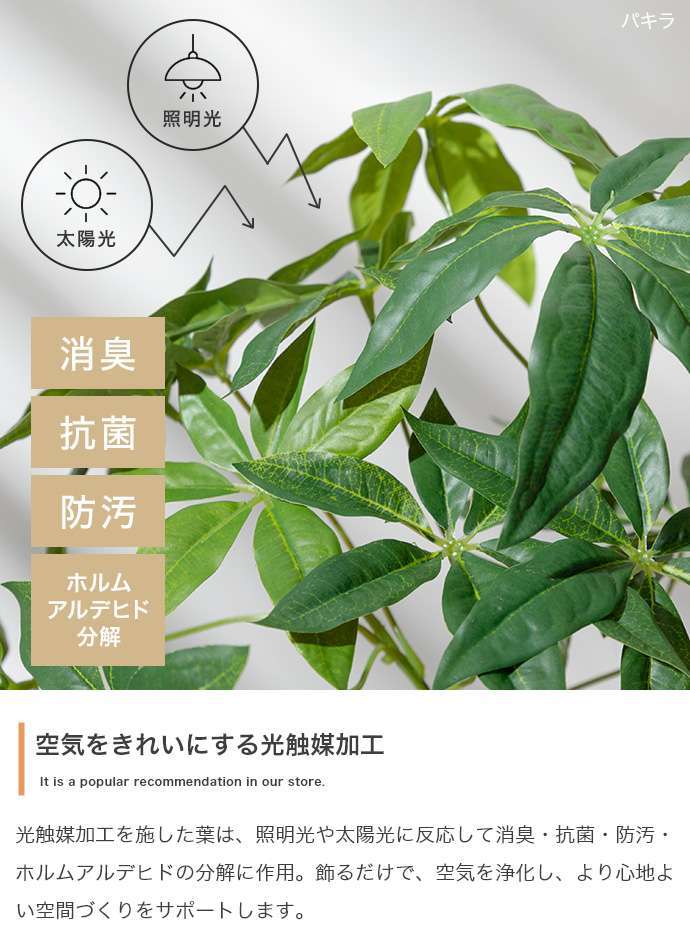 【高さ27cm】光触媒人工観葉植物 モンステラ 幅35cm×奥行45cm×高さ27cm コンパクト 天然木 お部屋に気軽に飾れて空間を美しく彩るフェイクグリーン 本物の植物のようなリアルな質感とインテリアに馴染む風合いが魅力です