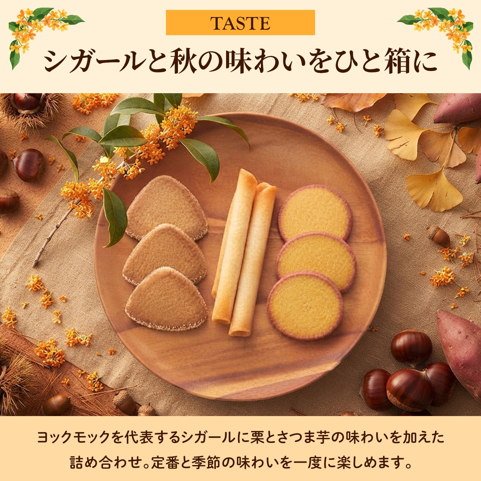 【特別熨斗対応】ヨックモック カドー ドゥ ロートンヌ 3種18個入 秋限定 ギフト プレゼント お菓子 焼き菓子 敬老の日 ハロウィン お菓子 スイーツ 焼き菓子