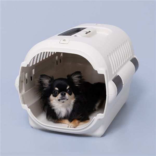 リッチェル キャンピングキャリー ファインR S アイボリー ペットキャリー ハード 犬 猫 小型犬 うさぎ キャリーケース キャリーバッグ クレート ペットハウス 自動車 ドライブ 災害 通院