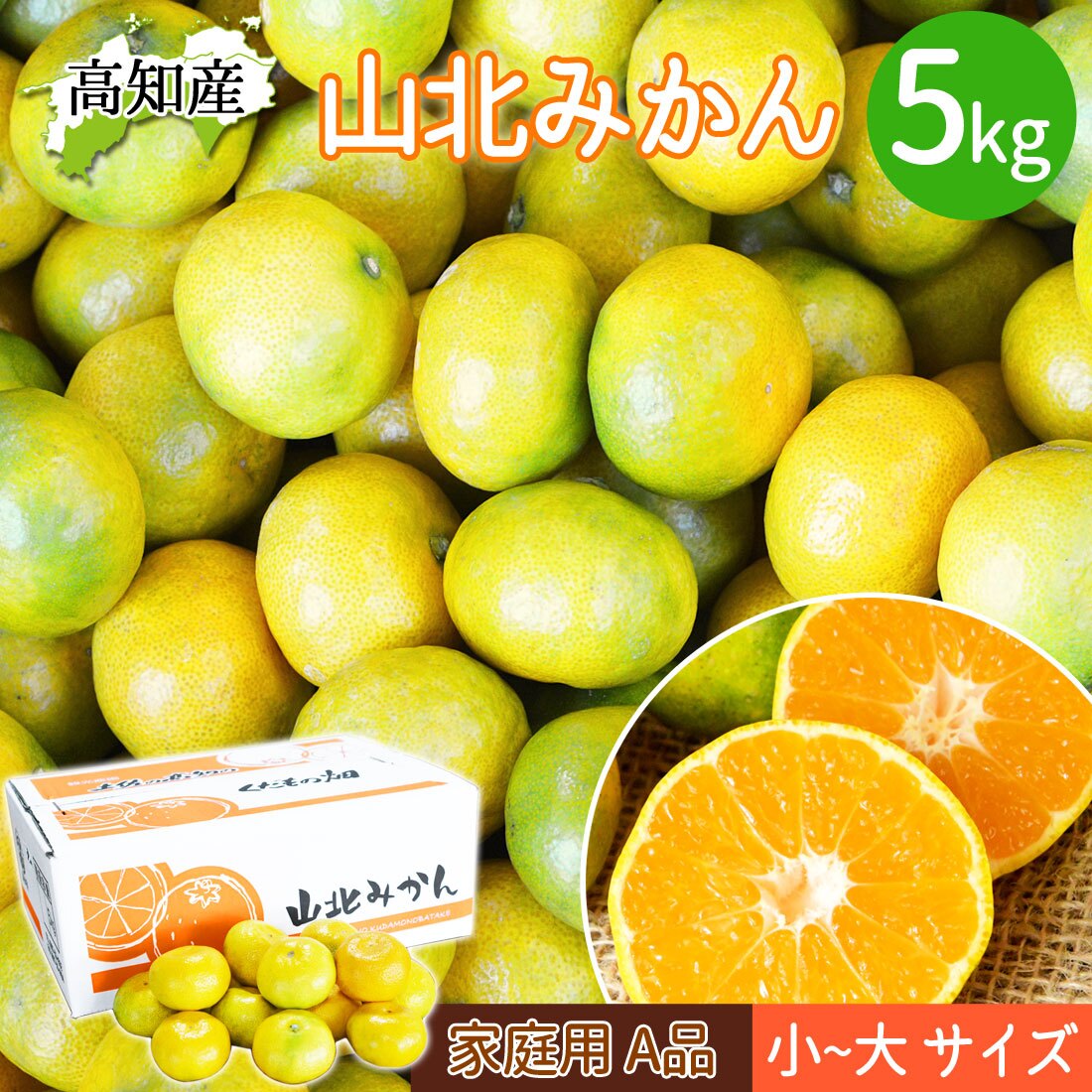 みかん 山北みかん くだもの畑 高知産 約5kg 蜜柑 温州みかん 露地みかん 5キロ 小玉 小粒 中玉 大玉 果物 旬 ミカン 家庭用 甘くておいしい 高知県産 産地直送 産直 農家さんの手詰めミカン やみつきになる山北みかん【送料無料】