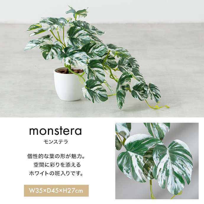【高さ55cm】光触媒人工観葉植物 パキラ 幅35cm×奥行35cm×高さ55cm コンパクト 天然木 お部屋に気軽に飾れて空間を美しく彩るフェイクグリーン 本物の植物のようなリアルな質感とインテリアに馴染む風合いが魅力です