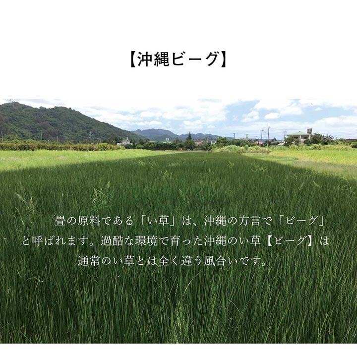 夏ラグ 夏用カーペット 日本製 国産 純国産 沖縄ビーグ ラグ い草 約191×191cm (裏:不織布）