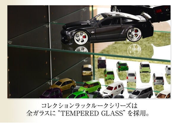 収納家具 ラック コレクション 本体+上置きセット 浅型ハイタイプ 奥行き19cm コレクションケース 壁面収納 ディスプレイケース フィギュア フィギュアケース 魅せて収納 ミニカー 人形 ガシャポン オマケの玩具 プラモデル SET