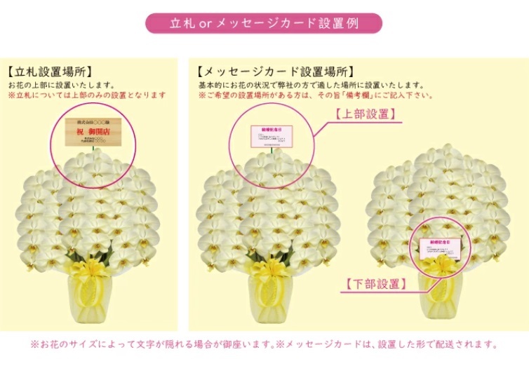 希少 純国産 胡蝶蘭 花持ち長い 大輪 3本立ち 33輪～ 23,800円【煌華(きらか)】 黄色 画像配信あり 産地直送 お祝い 母の日ギフト 縁起良い 商売繁盛 長寿祝 開店祝 開業祝 移転祝 就任祝 昇進祝 当選祝 当日発送 日本橋 銀座 王立園芸協会登録商品