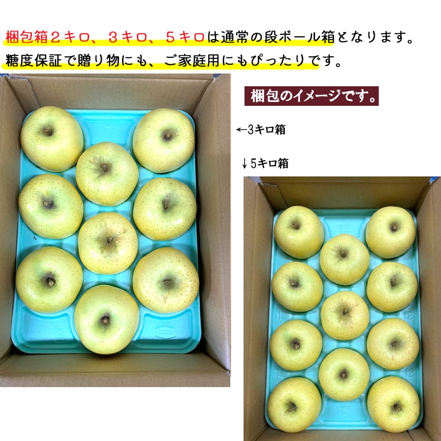 糖度12度保証 長野県産りんご シナノゴールド プレミアム ご贈答 果物 フルーツ お取り寄せ 産地直送 【送料無料(一部地域除く)】