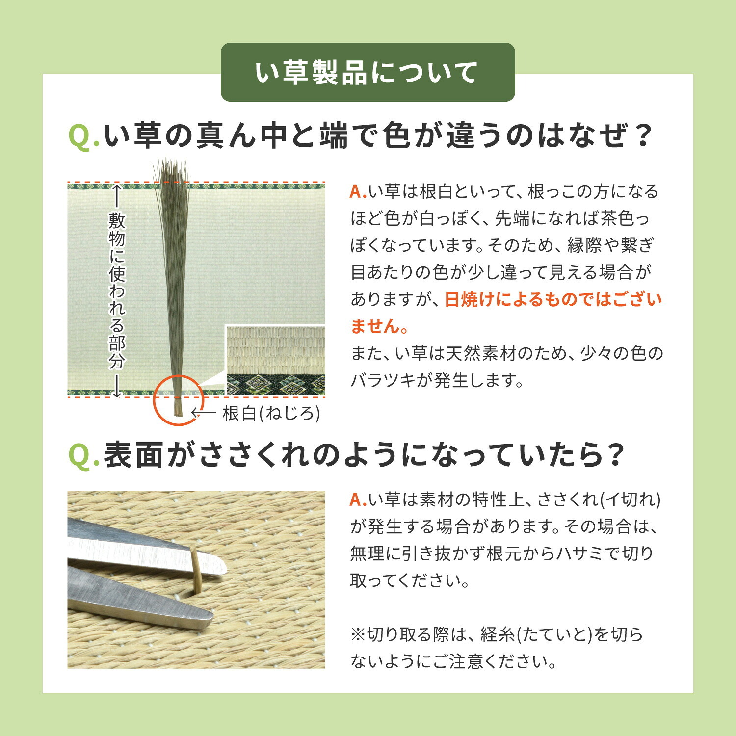国産 い草 平枕 約32×22×10cm まくら 倉敷帆布 ソフティル せとのとシリーズ ふわもち 日本製 国産い草 のい草平枕 綿 ピロー 枕寝具 寝具用品 寝室用 寝室用品 インテリア 綿100% やわらか ベージュ ブルー