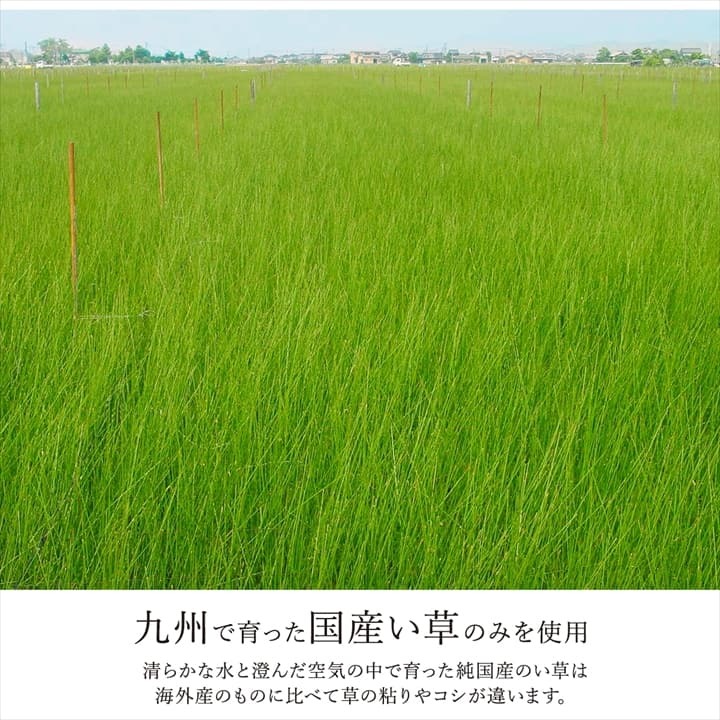 夏ラグ 夏用カーペット ラグ 長方形 国産 日本製 ナチュラルスタイル い草 消臭 抗菌防臭 滑り止め 防炎 市松 約140×200cm