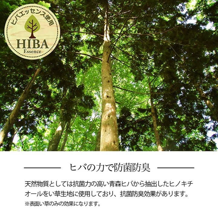 夏ラグ 夏用カーペット い草ラグ 花ござ カーペット 格子柄 ナチュラル シンプル 和室 洋室 裏不織布滑り止め 滑りにくい 抗菌防臭 消臭 お手入れ簡単 夏快適さらさら 江戸間3畳 (約174×261cm）