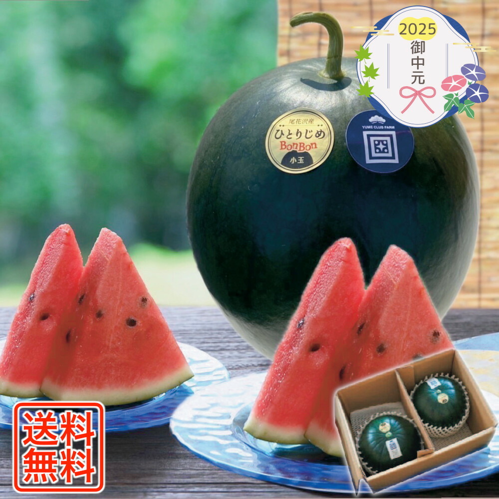 産地直送 熊本植木町スイカ【2玉入り】8kg