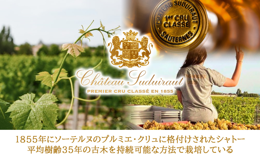 秋ギフトワイン 飲み比べセット フランス ボルドー 赤ワイン 白ワイン 辛口 750ml 赤白セット クリュ・ブルジョワ 熨斗包装 ギフト箱付 お祝い 会社 上司 送料無料