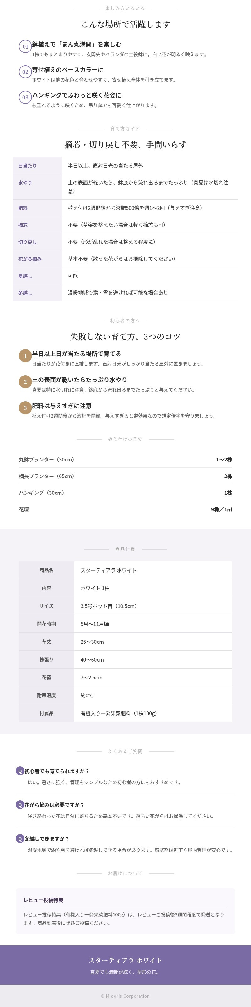 スターティアラ ホワイト 肥料付き ホワイト 3.5号ポット苗 サントリーフラワーズ スカエボラ｜暑さに強い夏の花 ガーデニング 鉢植え ハンギング プランター