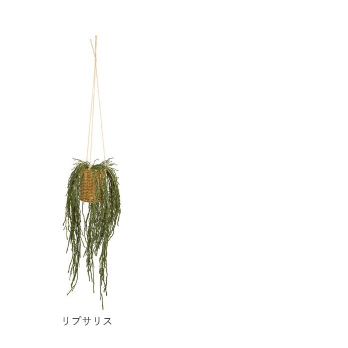 CT触媒 フェイクグリーン ハンギング 通販 キシマ アーティフィシャルグリーン 観葉植物 フェイク グリーン 吊り下げ バスケット 壁掛け 人工観葉植物 消臭 ハンギングバスケット 小さめ 小型 おしゃれ リビング リアル kishima 造花 インテリア
