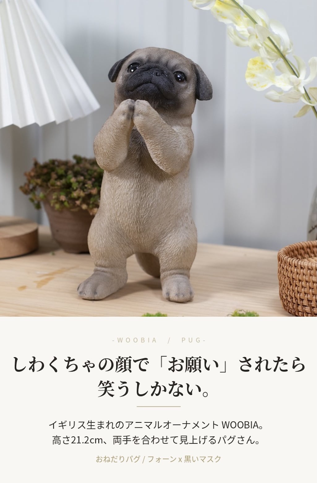置物 woobia ウービア 犬 鼻ぺちゃ おねだりパグ フォーン 高さ21.2cm ぶさかわ リアル 本物そっくり イギリス生まれ 職人手彩色 縁起物 戌年 玄関 インテリア 新築祝い 引っ越し祝い 開店祝い 出産祝い 誕生日 お祝い ギフト プレゼント 犬好き パグ好き