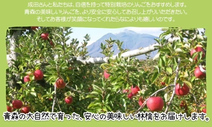 【11月中旬頃発送】蜜入りは１２月末まで　青森県認証 特別栽培農産物 ◆ 甘くておいしい！フォーシーズン 青森りんご 葉とらずサンふじ 家庭用 約１０kg箱
