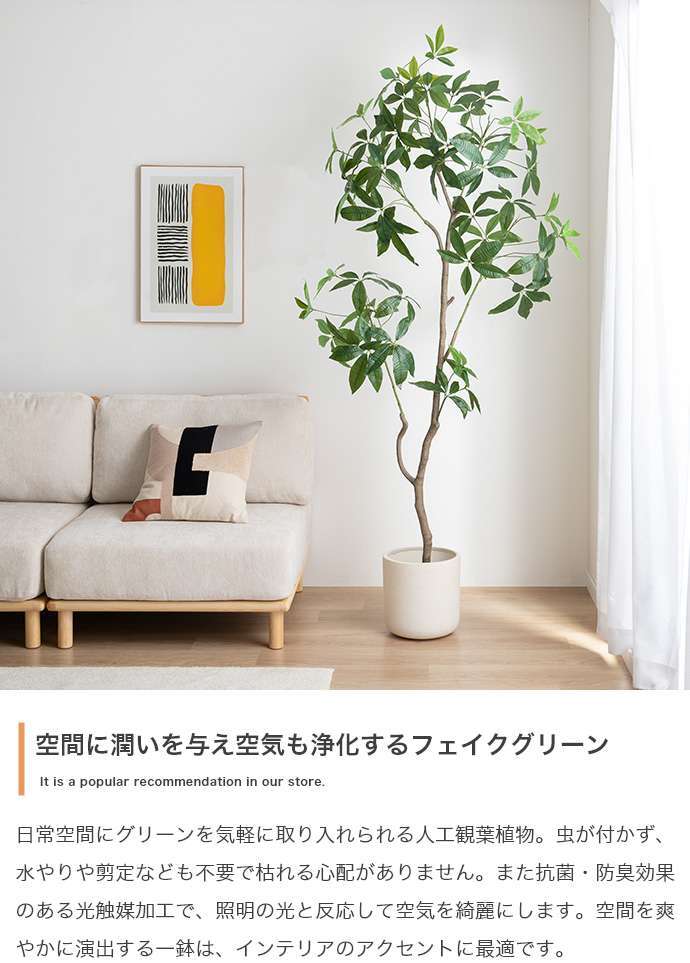 【高さ200cm】光触媒人工観葉植物 パキラ 曲がり 幅55cm×奥行50cm×高さ200cm オフィス 天然木 組立品 お部屋に気軽に飾れて空間を美しく彩るフェイクグリーン 本物の植物のようなリアルな質感とインテリアに馴染む風合いが魅力です