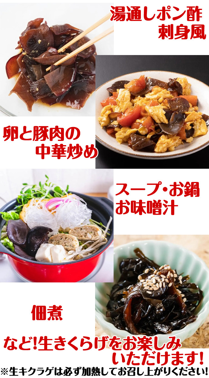 北海道産 朝採り生きくらげ 1kg 菌床栽培・無農薬 ぷりぷり肉質 送料無料 ※沖縄は送料別途加算