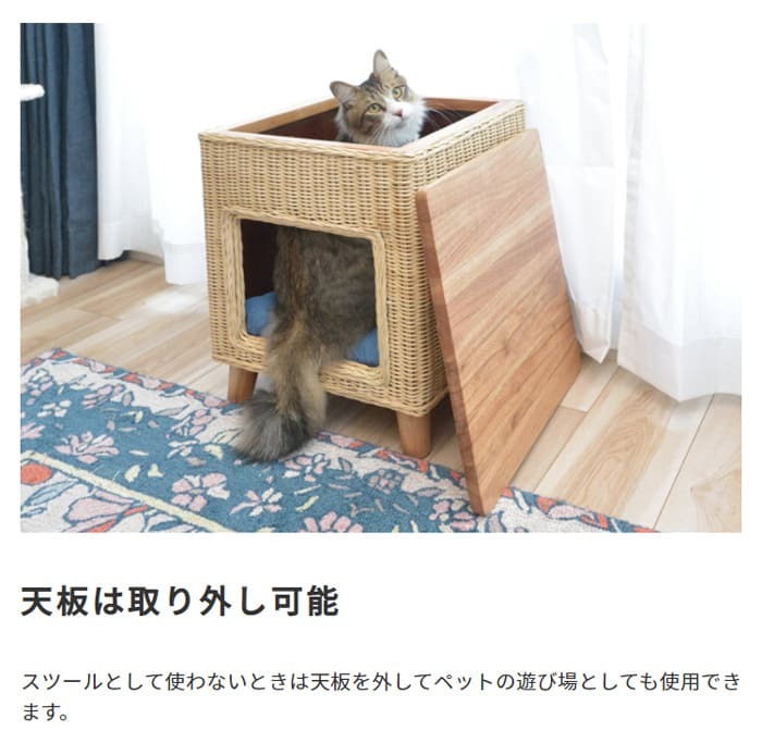 ラタン ペットハウススツール ペットと一緒にくつろぐ クッション付き 椅子 テーブル ネコ イヌ 猫 室内用 屋内用 小型犬 ペット用品 グッズ キャットタワー 省スペース 犬用 猫用 かわいい おしゃれ リゾート ホテル ケージ 最大2 天然木 イス