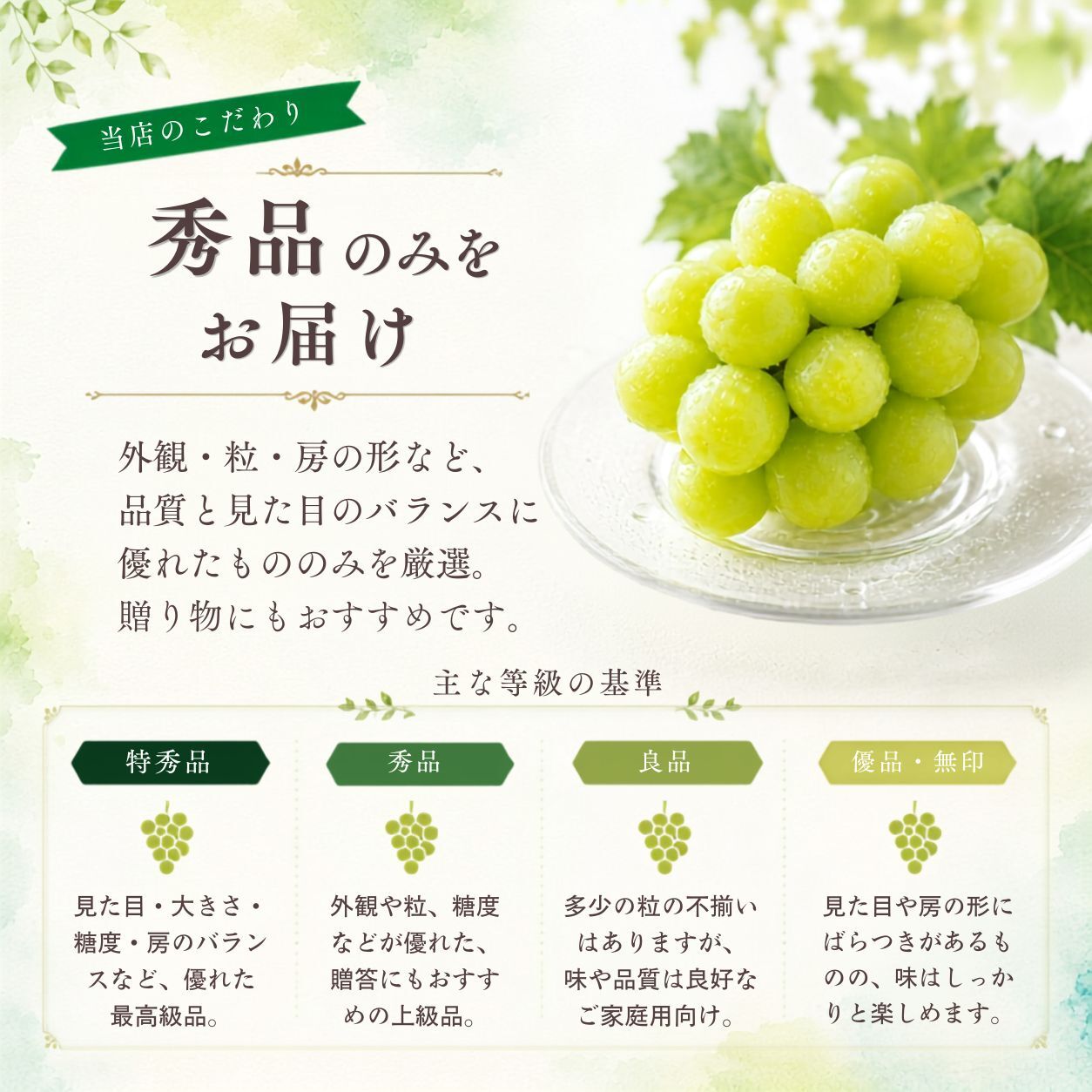 【産地直送】山梨県産 シャインマスカット 秀品｜誕生日・内祝い・秋のフルーツギフト
