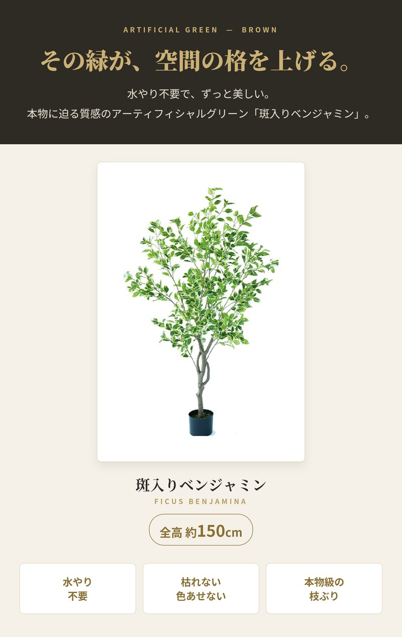 観葉植物 造花 斑入りベンジャミン BROWN 全高約150cm 大型 ゴムの木 フェイクグリーン 本物そっくり おしゃれ インテリア 人工観葉植物 アーティフィシャルグリーン オフィス 店舗 ホテル 開店祝い 室内 ベンジャミン 斑入り フィカス フェイク