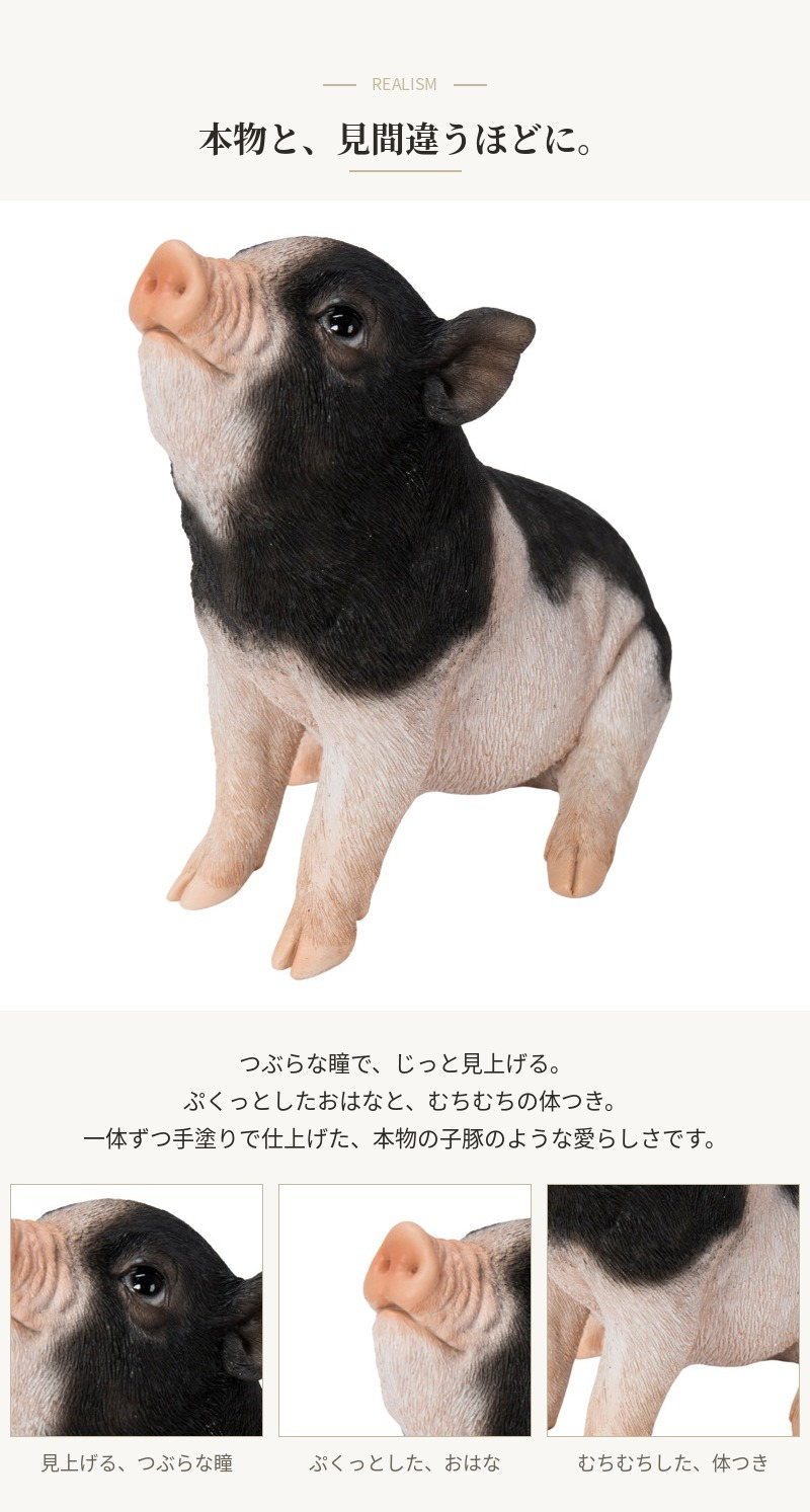 置物 豚 見上げるお座り黒白桃豚 幅19cm woobia ウービア ぶた リアル かわいい おしゃれ 玄関 インテリア オブジェ ガーデン ミニブタ 動物 アニマル 癒し 棚 北欧 プレゼント ギフト 新築祝い 面白い