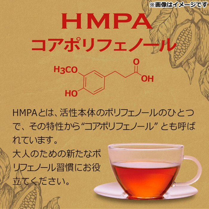 カカオ香る黒豆茶 14包 ティーバッグ 国産黒豆使用 カカオシェル配合 ノンカフェイン 健康茶 ティーパック ポリフェノール HMPA 配合 美容茶 お茶 ティー ティーバッグ ギフト プレゼント 贈り物