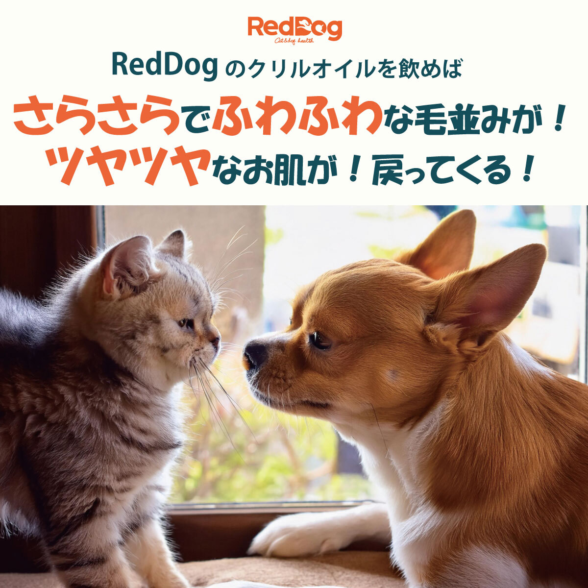 【RedDog】クリルオイル 50ml　乾燥肌　皮膚のかゆみ　抜け毛　液体タイプ　3ヶ月以上の犬猫用　脱臭特許技術
