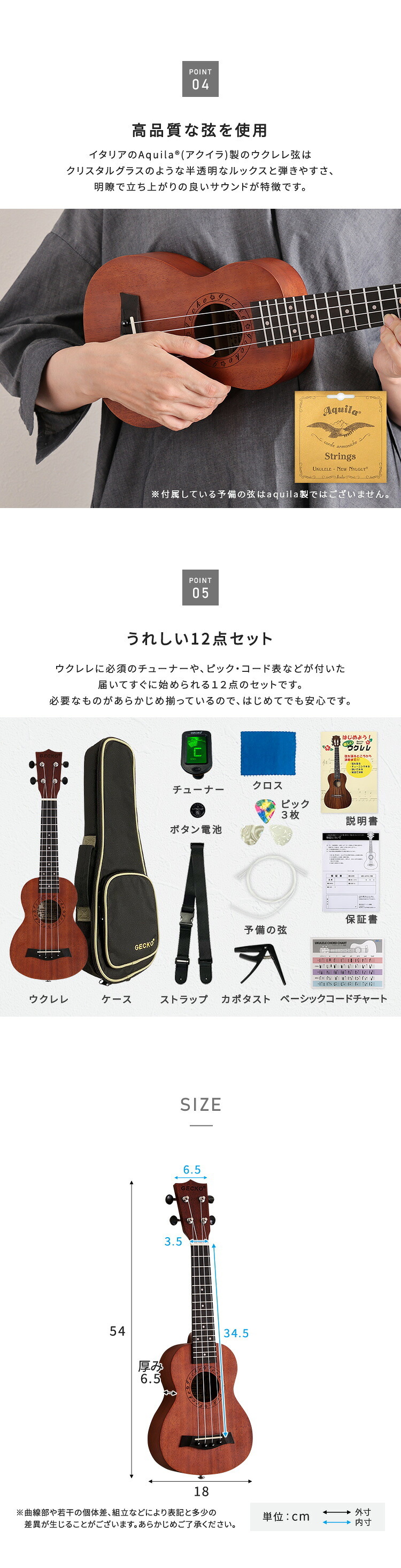 初心者でも始めやすい ウクレレ 12点セット 21インチ(ソプラノ)