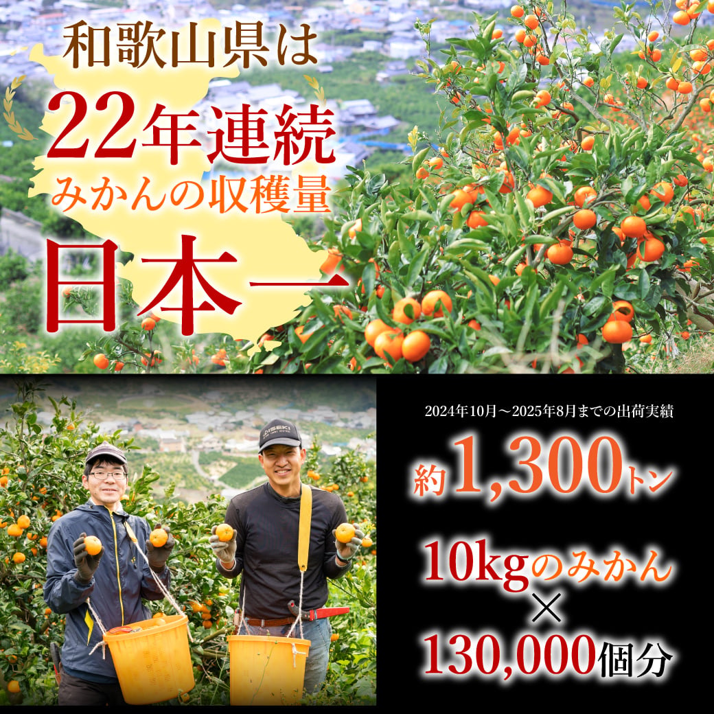 みかん 5kg 贈答用 秀品 特選 送料無料 和歌山 M L 伊藤農園 大玉 中玉 手詰め 有田みかん 温州みかん 約30個～40個 果物 出産内祝い 贈答 ギフト 誕生日 結婚祝い 出産祝い 内祝い ギフト